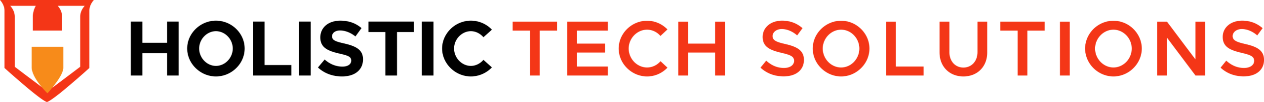 Holistic Tech Solutions Group
